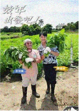 欧美影视解说栏目调整资讯配图